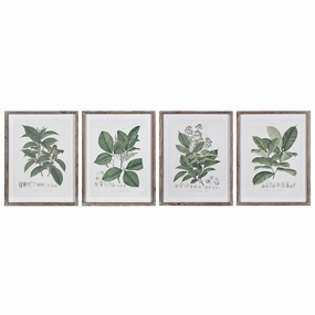 Set of Four Perennial Herbs Wall Art 65cm modern mural painting