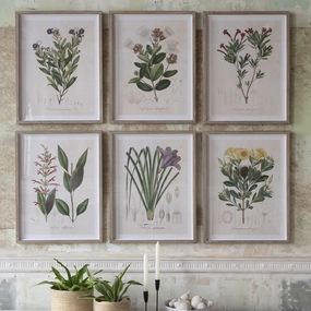 Set of Six Framed Wildflower Prints modern mural painting