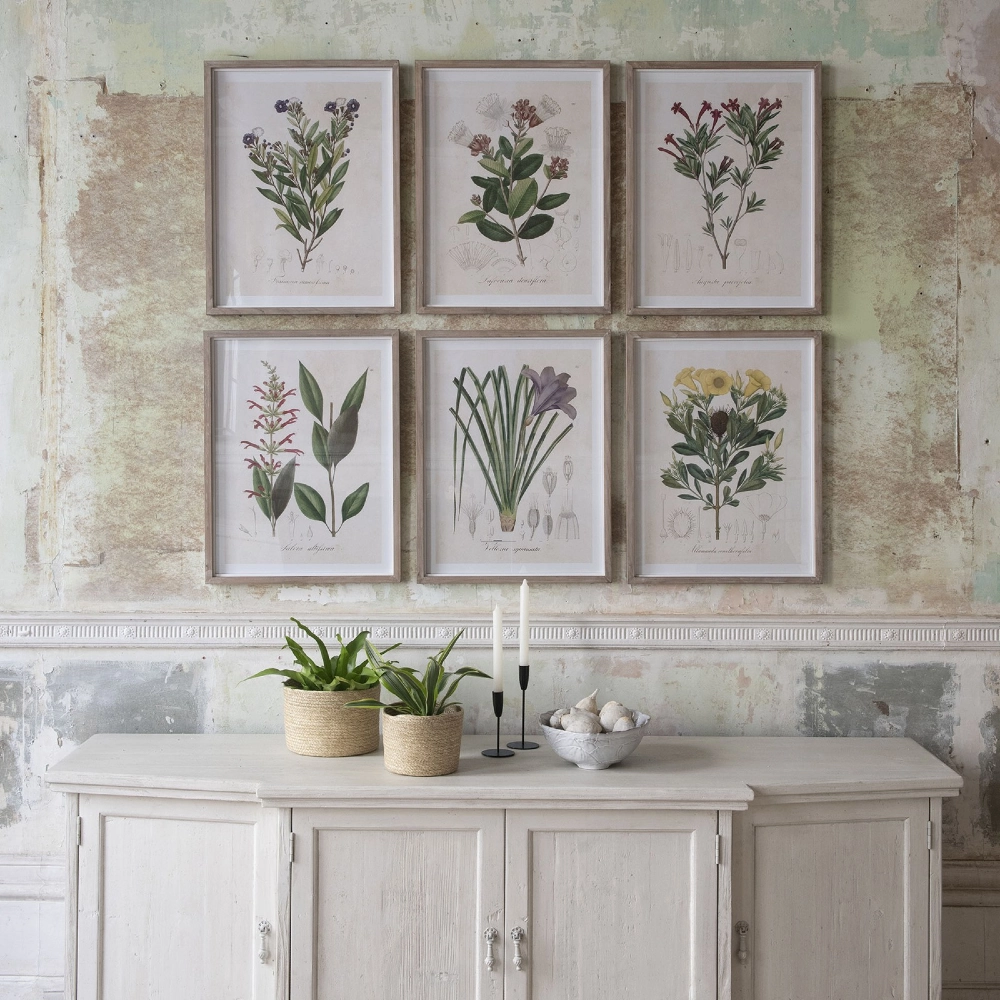 Set of Six Framed Wildflower Prints
