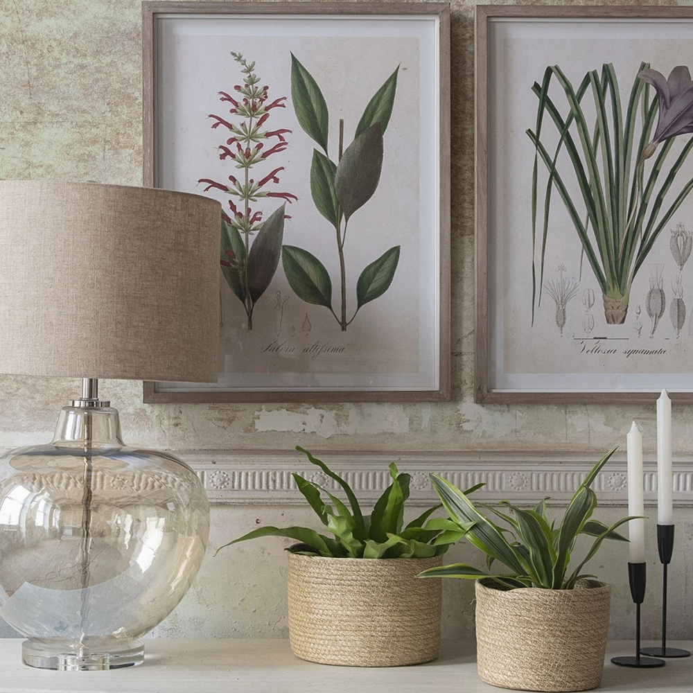 Set of Six Framed Wildflower Prints