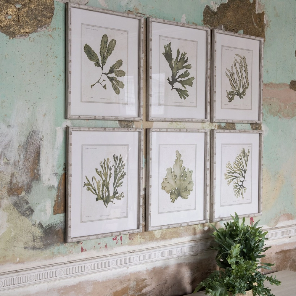 Set of Six Gorgeous Fern Framed Prints 60cm