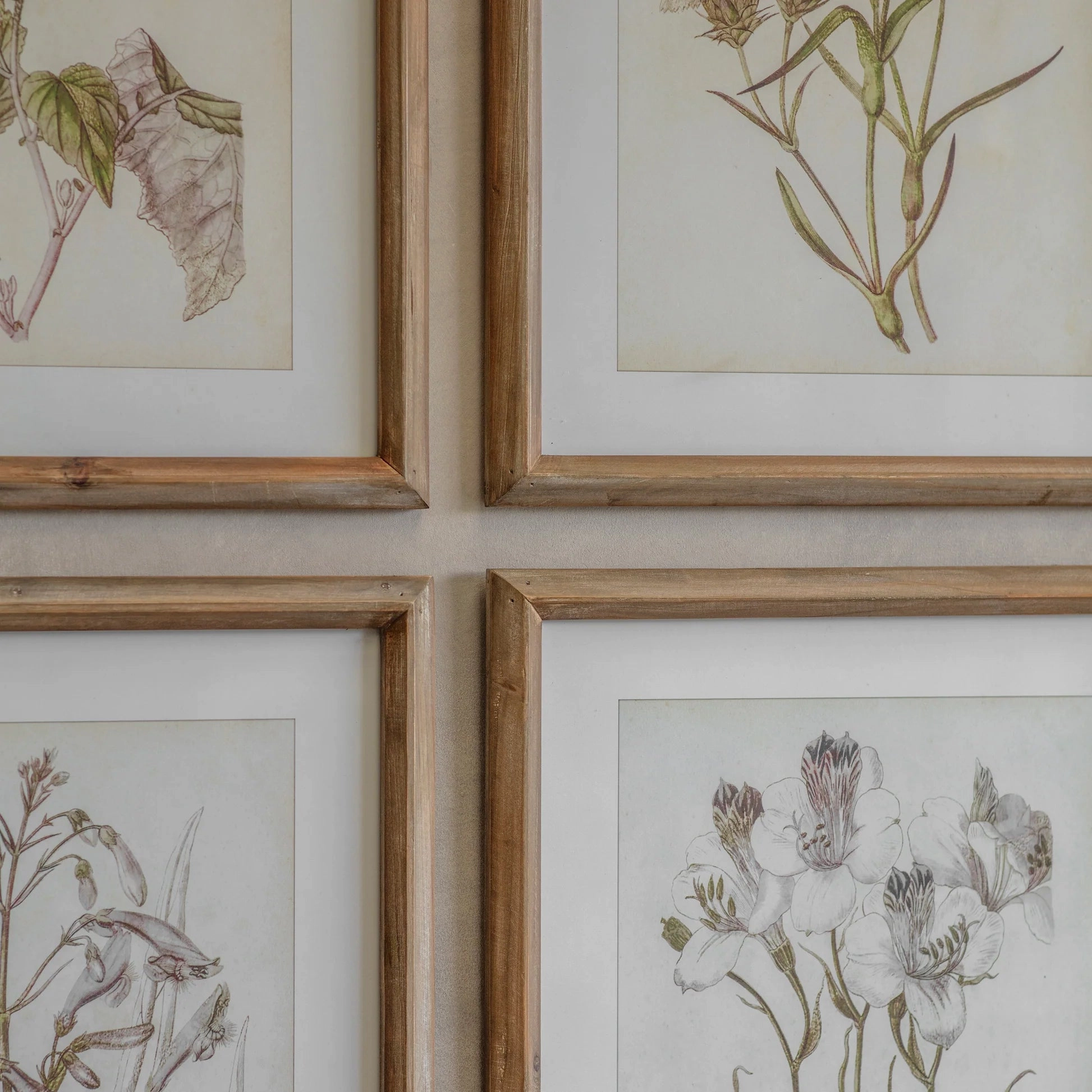 Set of Six Lavender Botanical Framed Prints 60cm