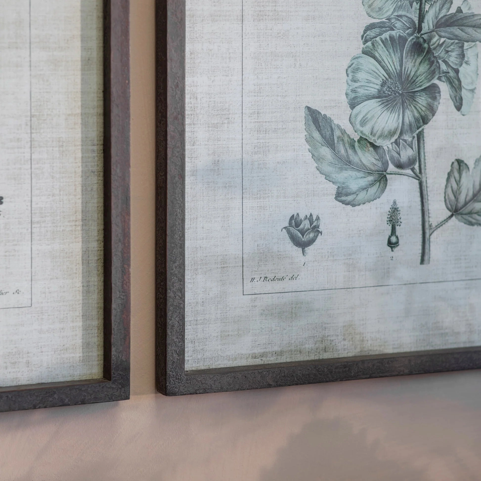 Set of Two Framed Lavatera Prints 75cm