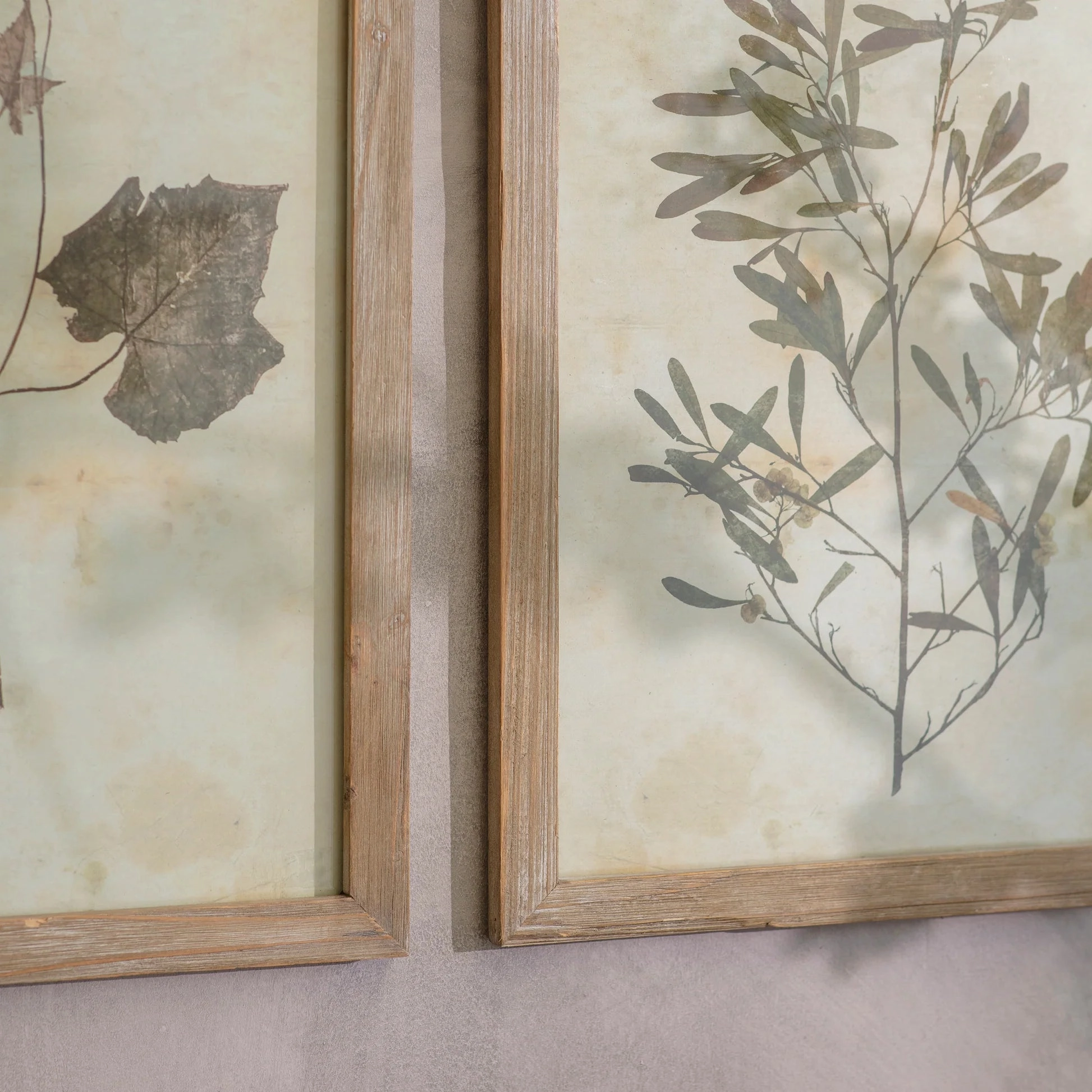 Set of Two Framed Leaf Prints 53cm