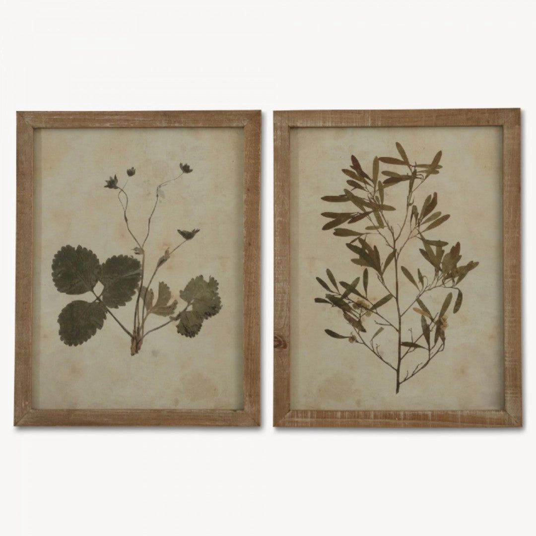 Set of Two Framed Leaf Prints 53cm