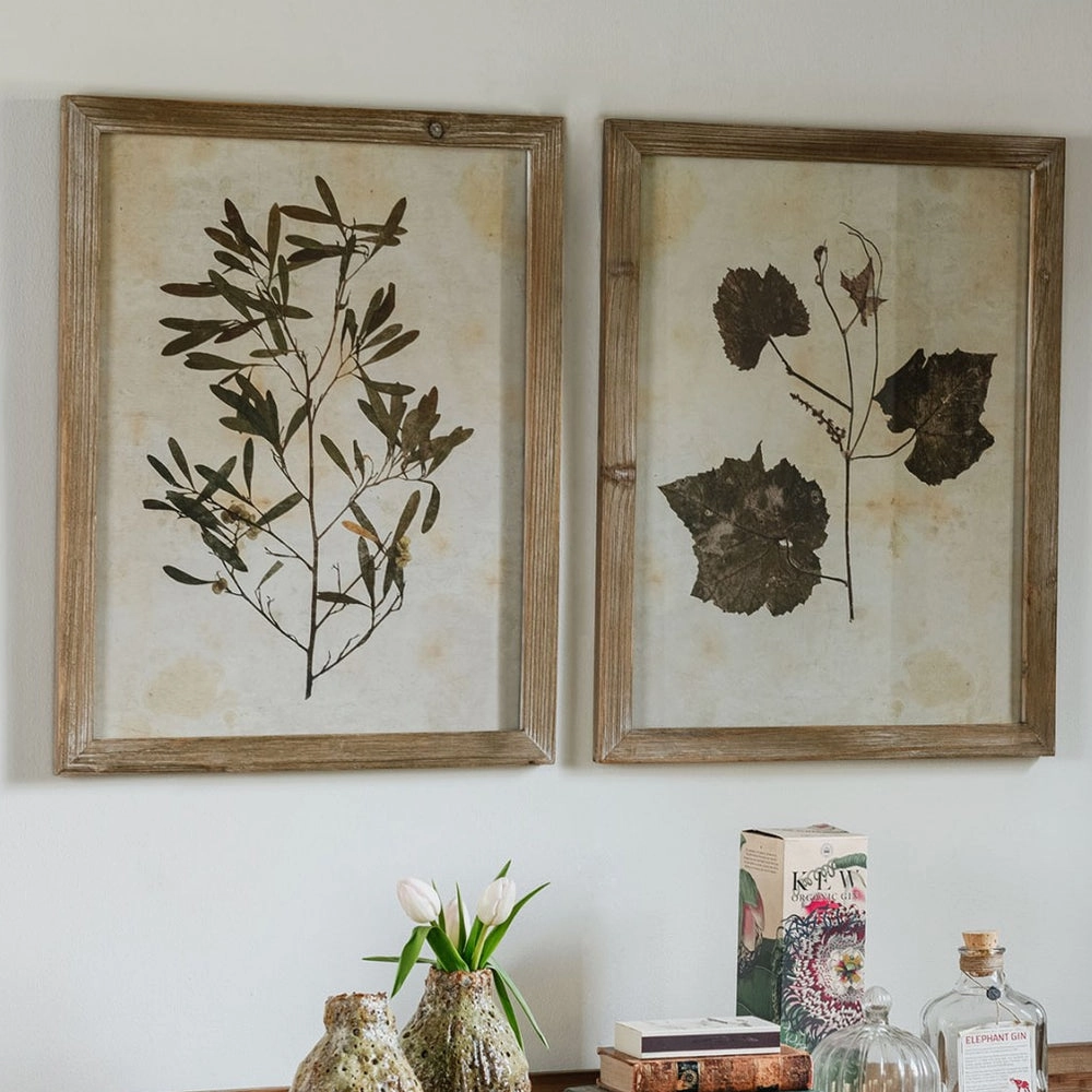 Set of Two Framed Leaf Prints 53cm
