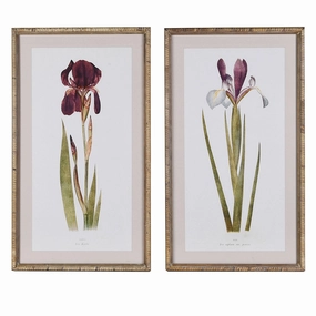 Set of Two Iris Framed Wall Art 70cm modern mural painting
