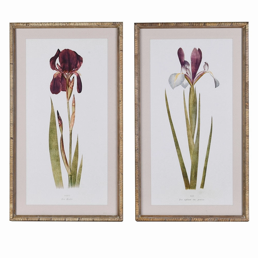 Set of Two Iris Framed Wall Art 70cm modern mural painting
