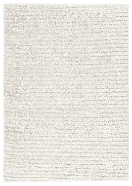 Sethmond 5'3" x 7'3" Rug neutral everyday carpet