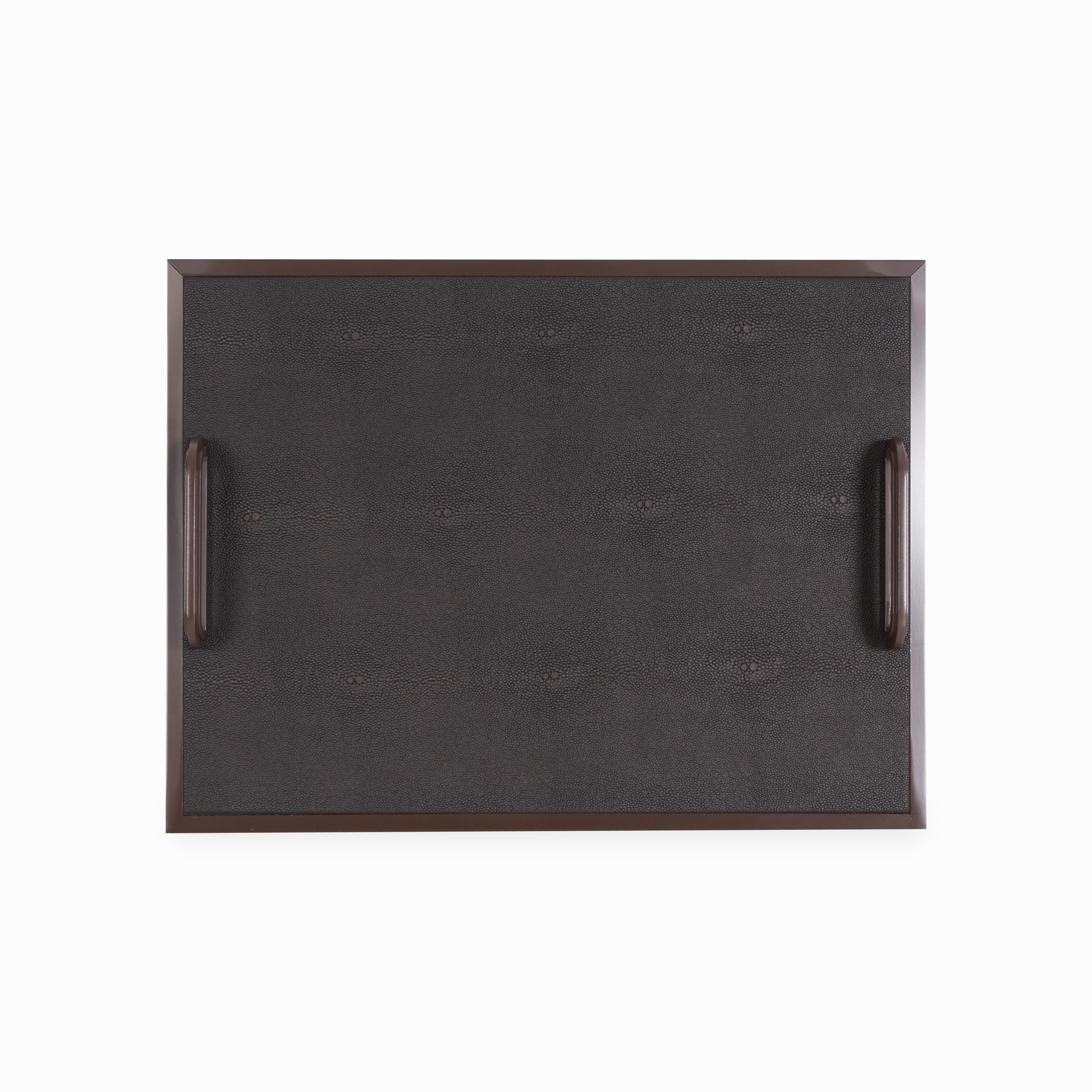 Shagreen Handle Tray