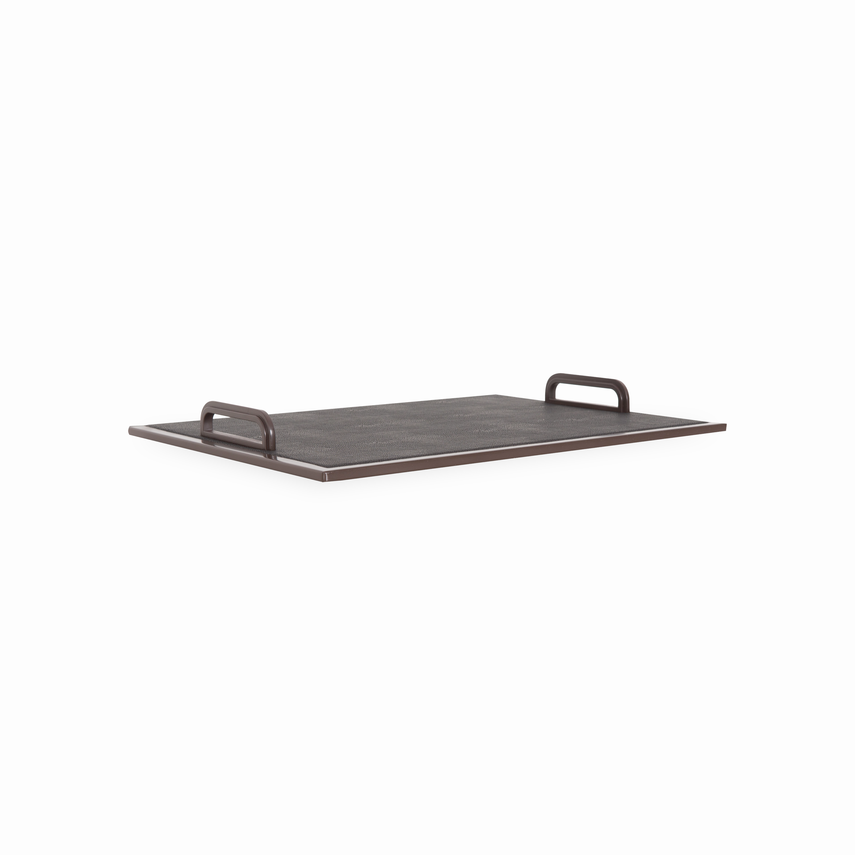 Shagreen Handle Tray