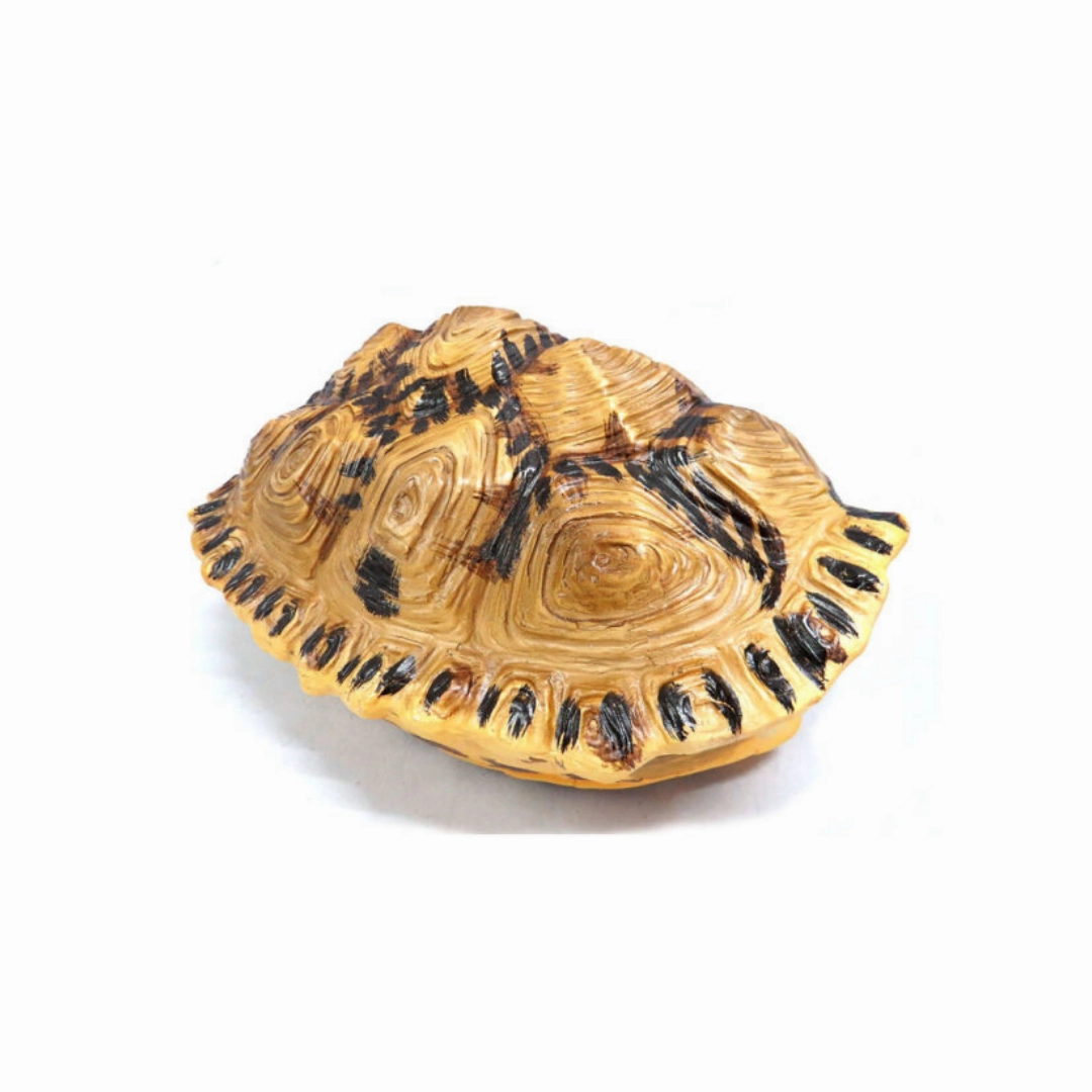 Shyman Tortoise