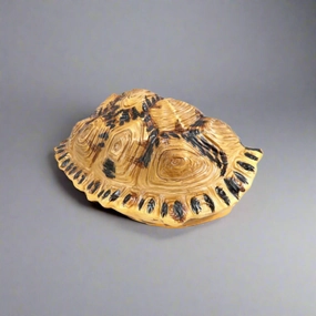 Shyman Tortoise decorative home ornament