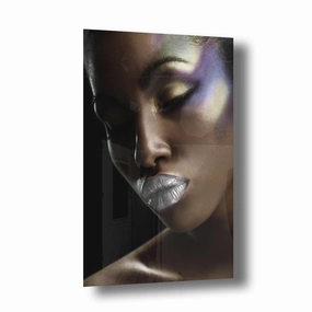 Silver Beauty Silver on Acrylic framed mural artwork