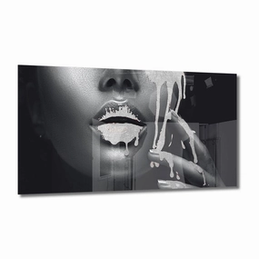 Silver Lips Silver on Acrylic framed mural artwork
