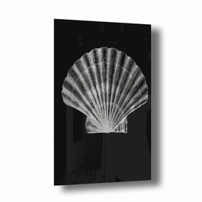 Silver Shell Silver on Acrylic framed mural artwork