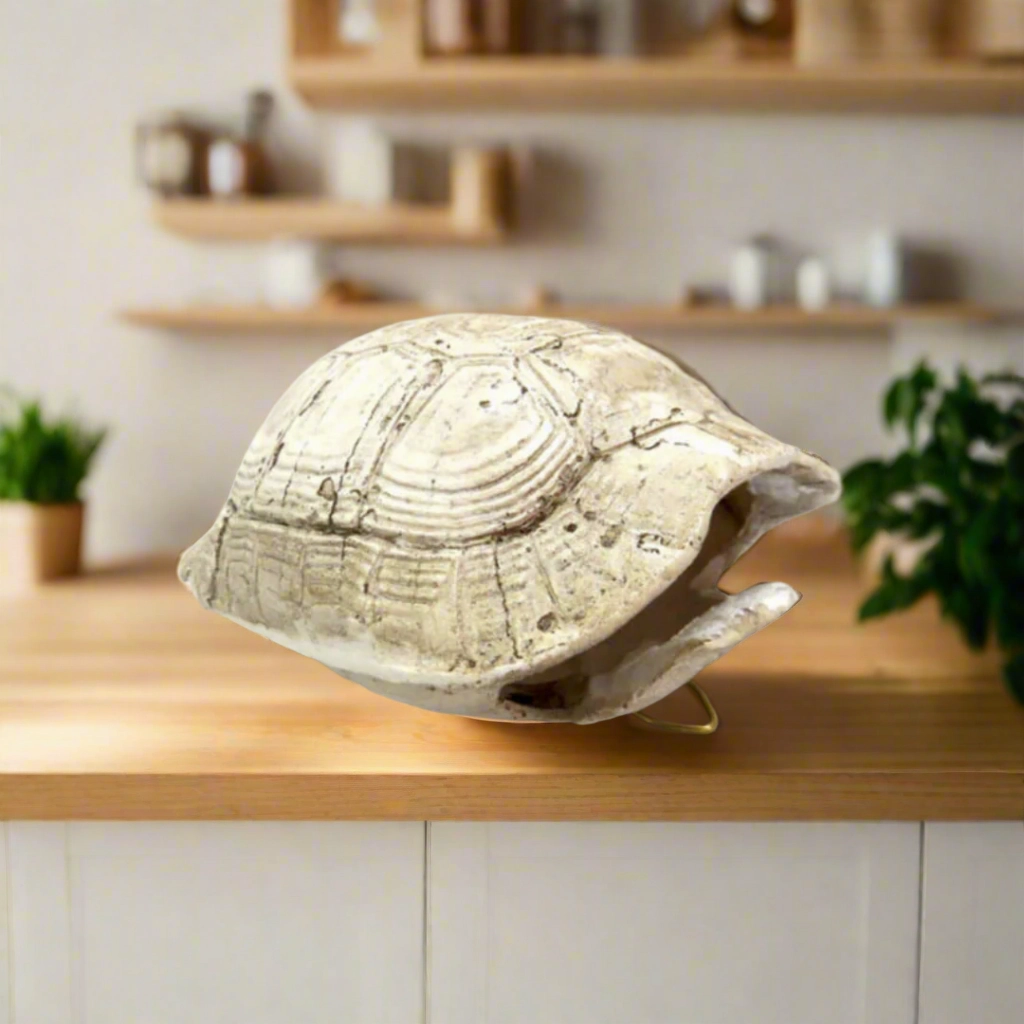 Slobro Turtle