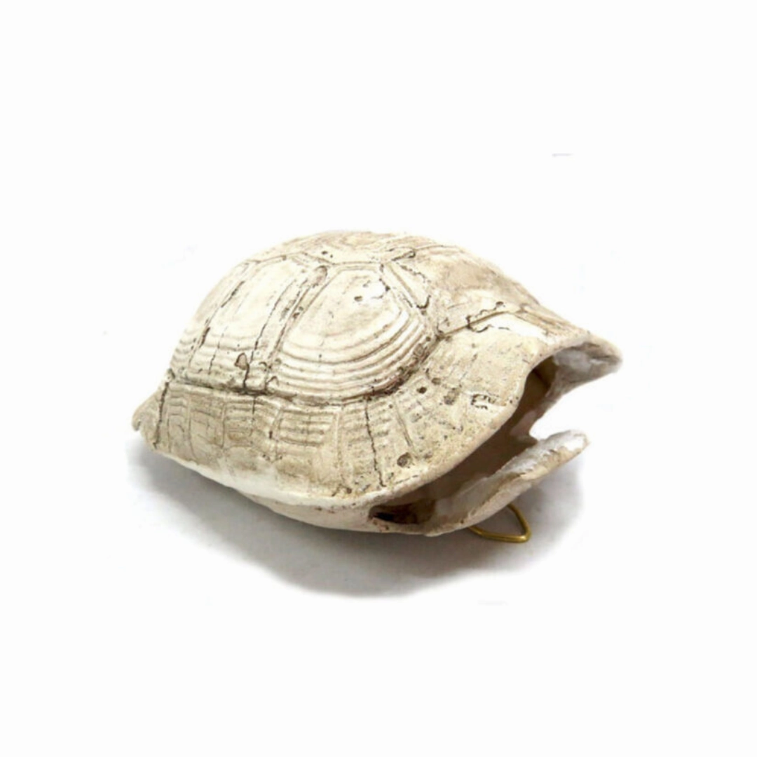 Slobro Turtle