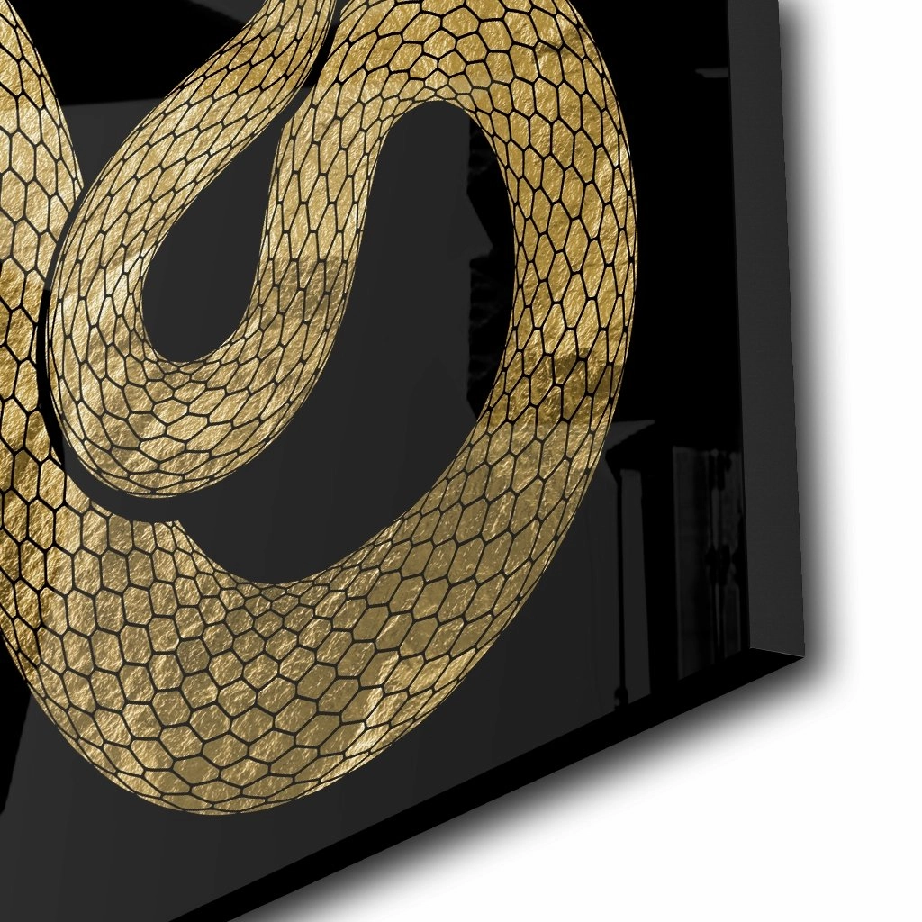Snake Gold on Acrylic