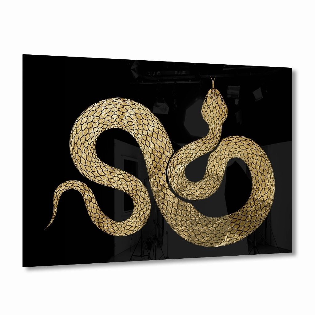 Snake Gold on Acrylic framed mural artwork