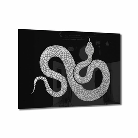 Snake Silver on Acrylic framed mural artwork