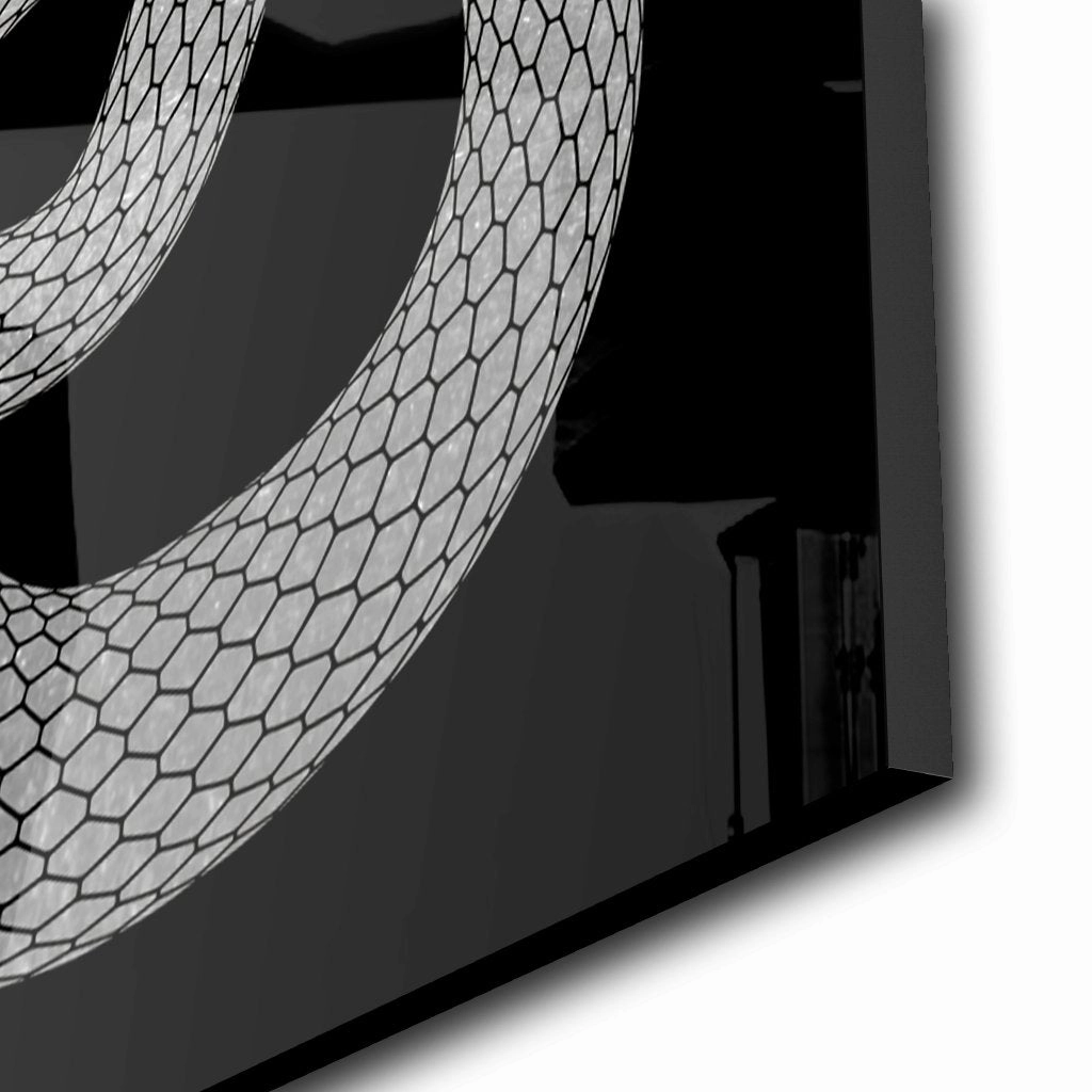 Snake Silver on Acrylic