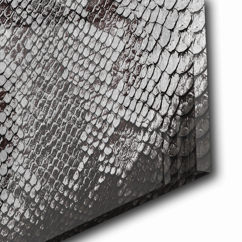 Snake Skin Silver on Acrylic