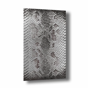 Snake Skin Silver on Acrylic framed mural artwork