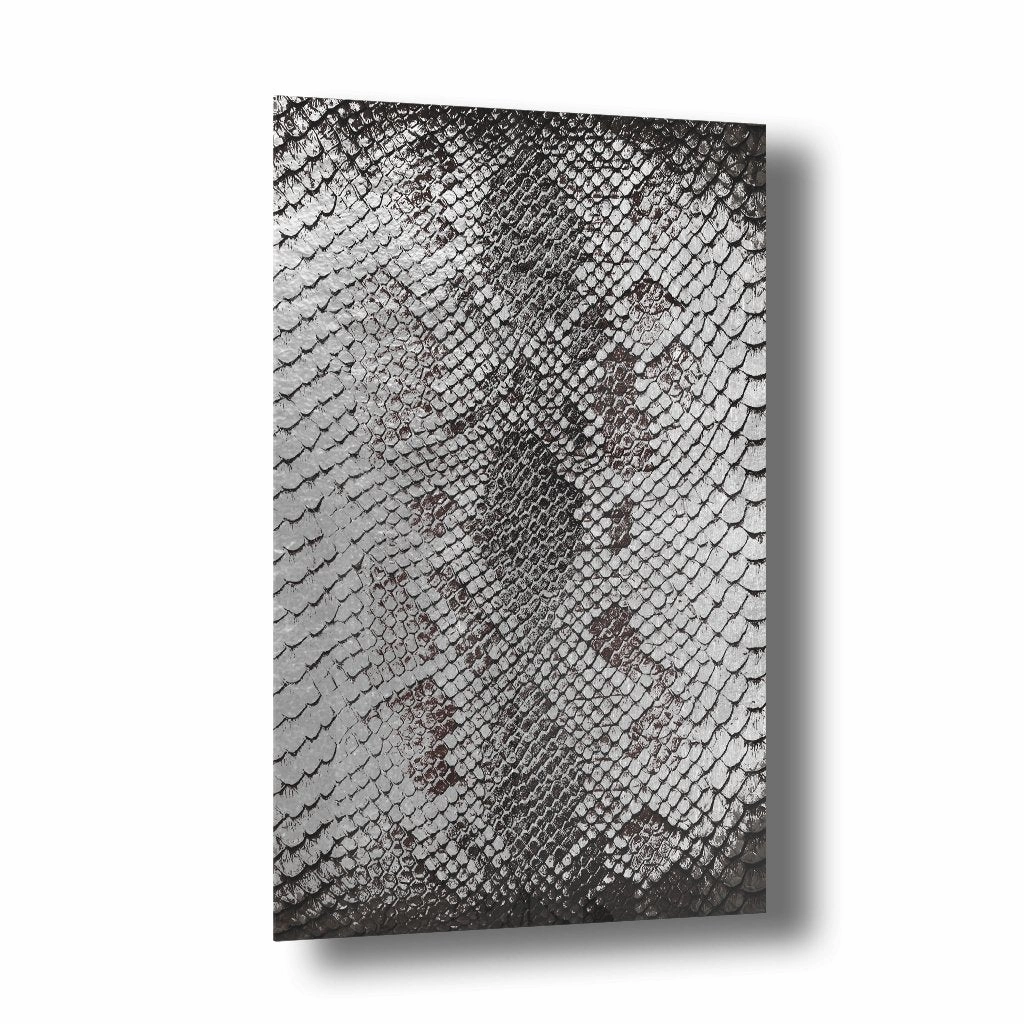 Snake Skin Silver on Acrylic framed mural artwork