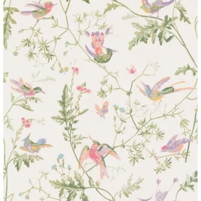 Soft Multicolor Hummingbirds Wallpaper paper wall covering