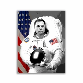 Space Elon by Lukas Avalon framed mural artwork