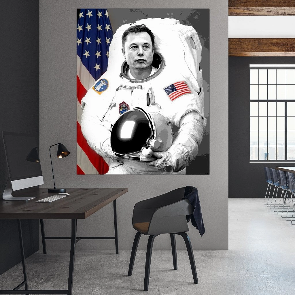 Space Elon by Lukas Avalon 