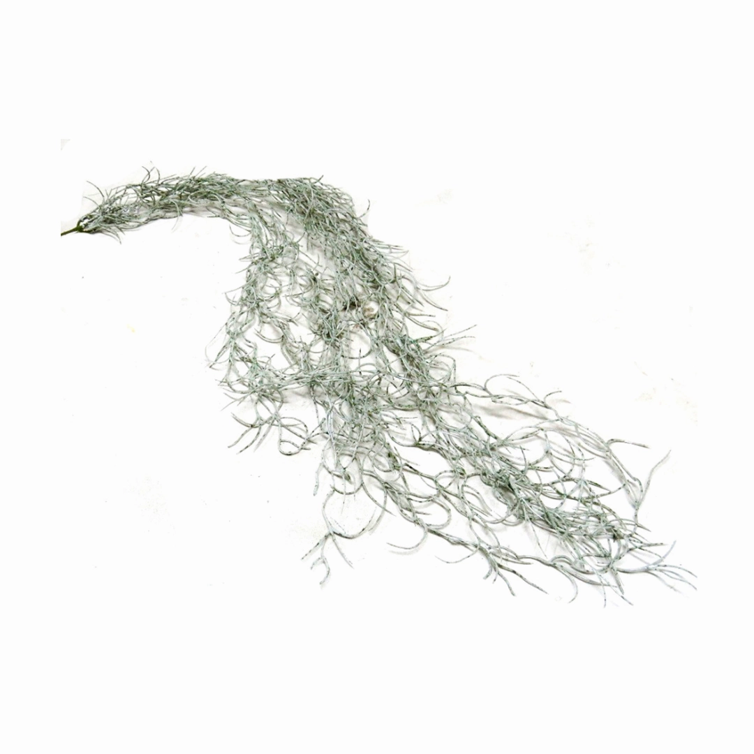 Spanish Moss decorative home ornament