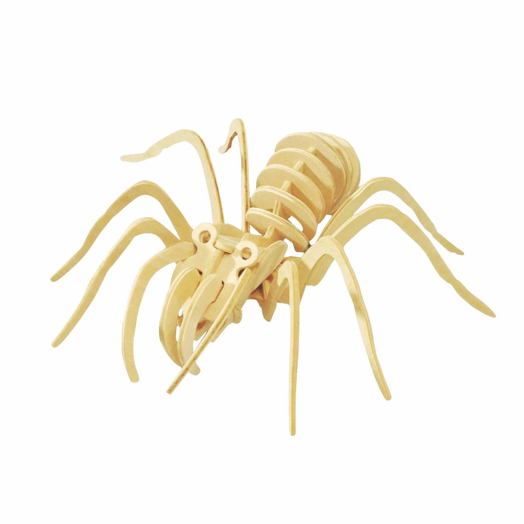 Spider 3D Wooden Puzzle, 7-3/4-Inch wooden room decoration