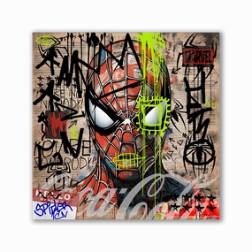 Spiderman by Zuppini framed mural artwork
