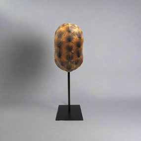 Spot On decorative home ornament