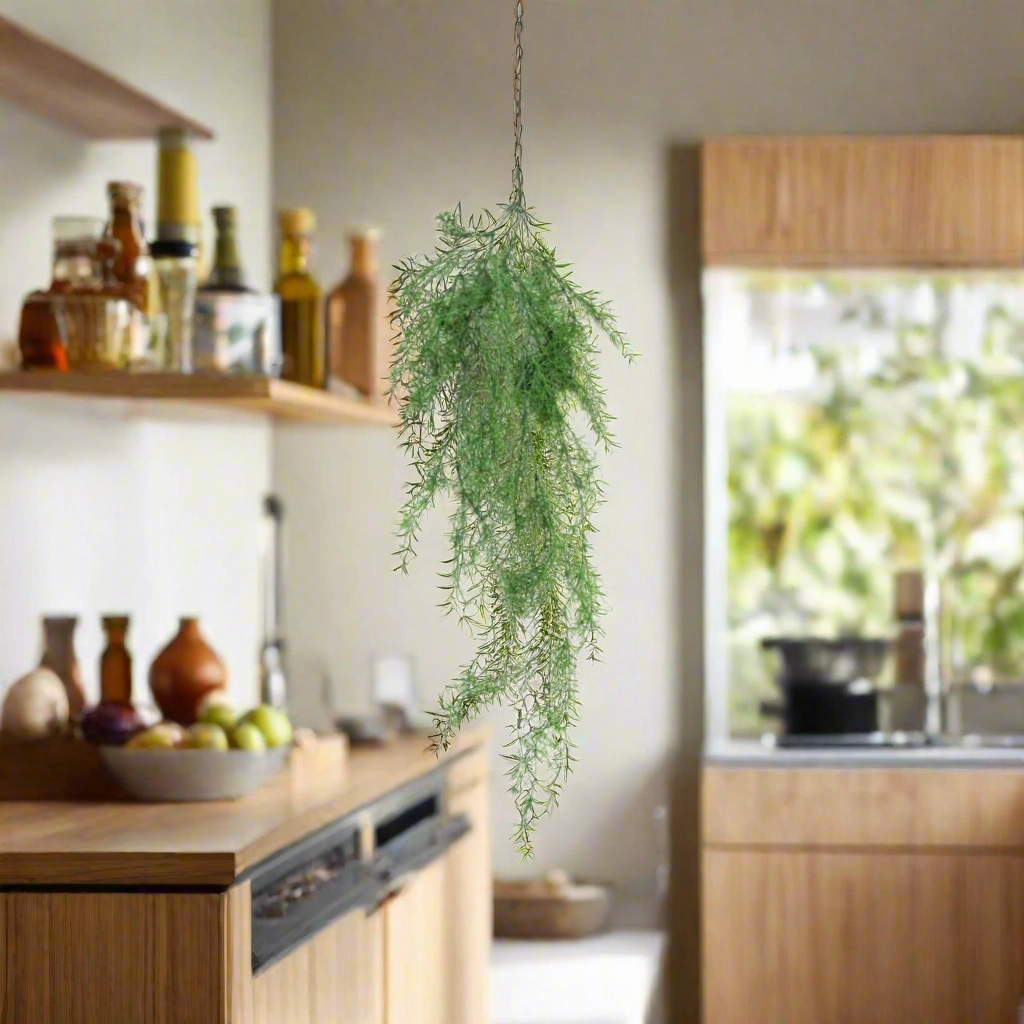Sprengeni Vine