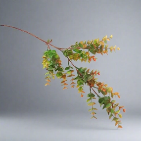 Spring Eucalyptus Stem decorative home ornament