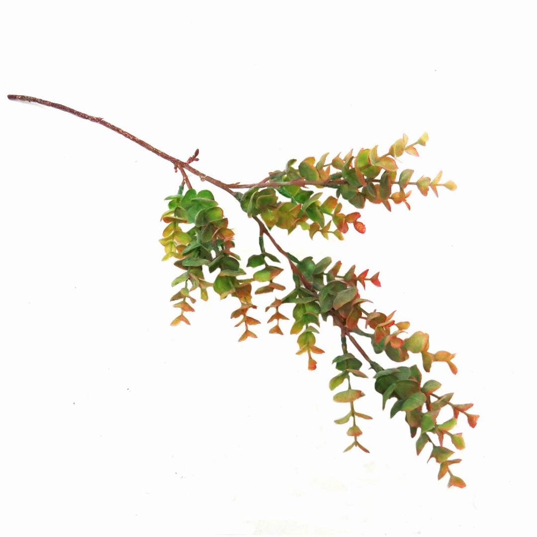 Spring Eucalyptus Stem