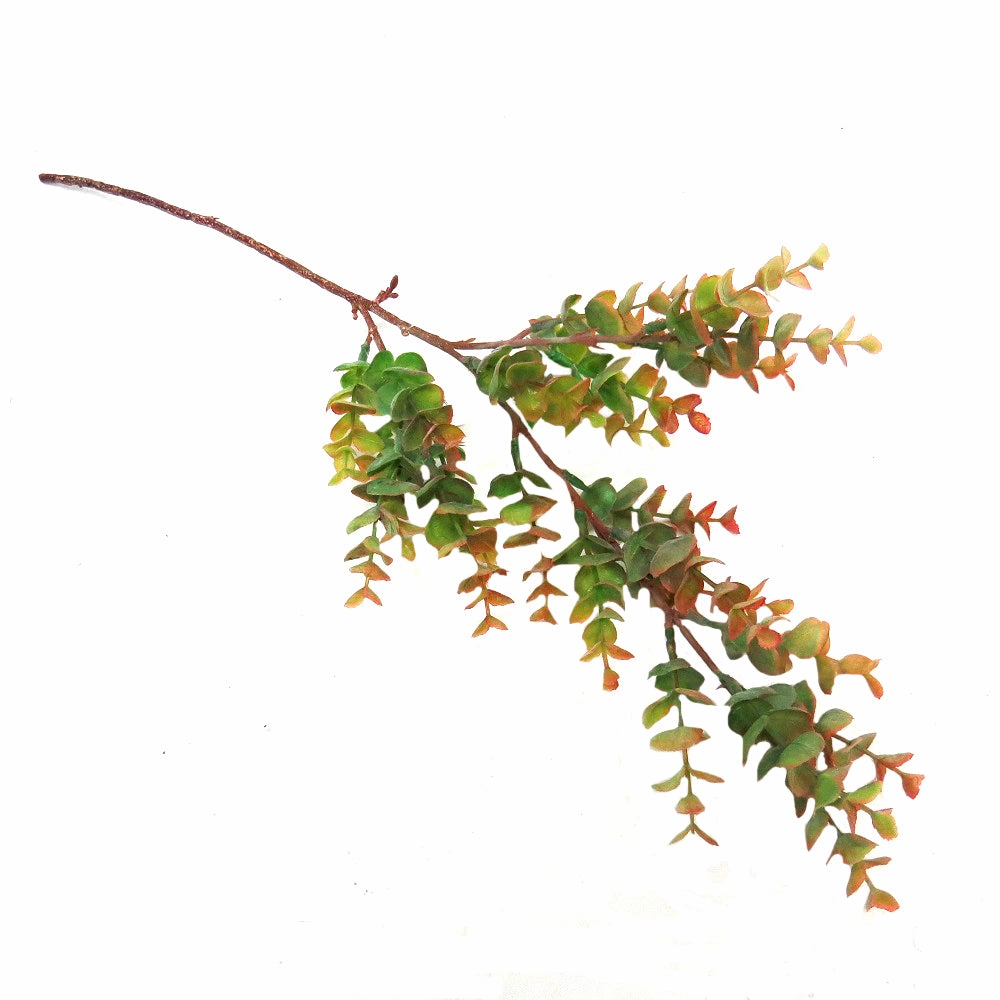 Spring Eucalyptus Stem