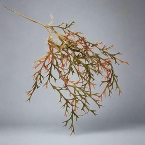 Staghorn Paintbox Vine decorative home ornament