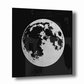 Stellar Silver on Acrylic framed mural artwork