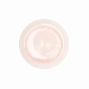 Stoneware Dinner Plates in Vintage Rose and Cream mini desktop sculpture