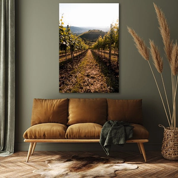 Stuttgart Vineyard 