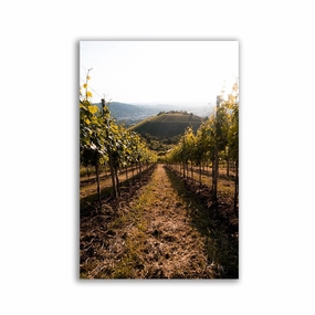 Stuttgart Vineyard framed mural artwork