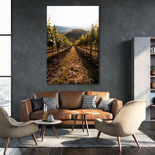 Stuttgart Vineyard 