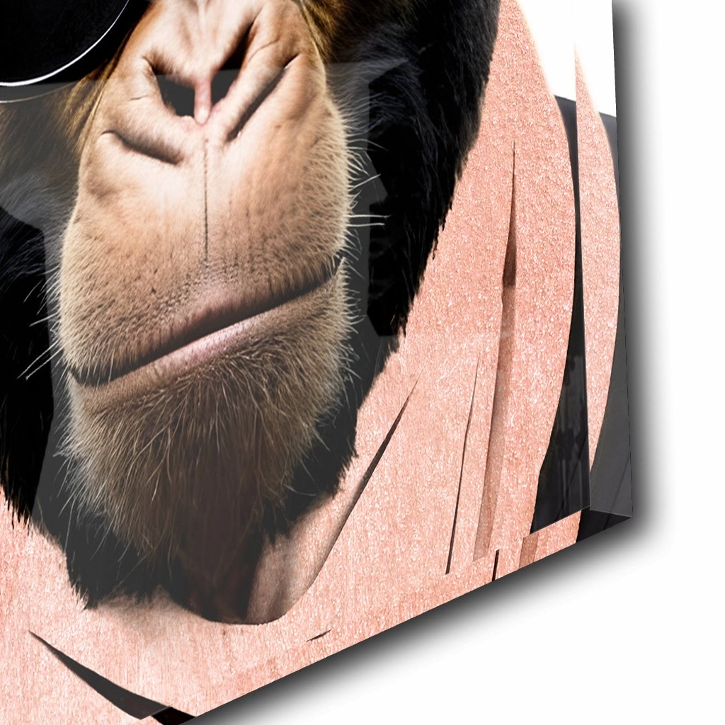 Stylish Monkey - Sunglasses by Adrian Vieriu Ros on Acrylic