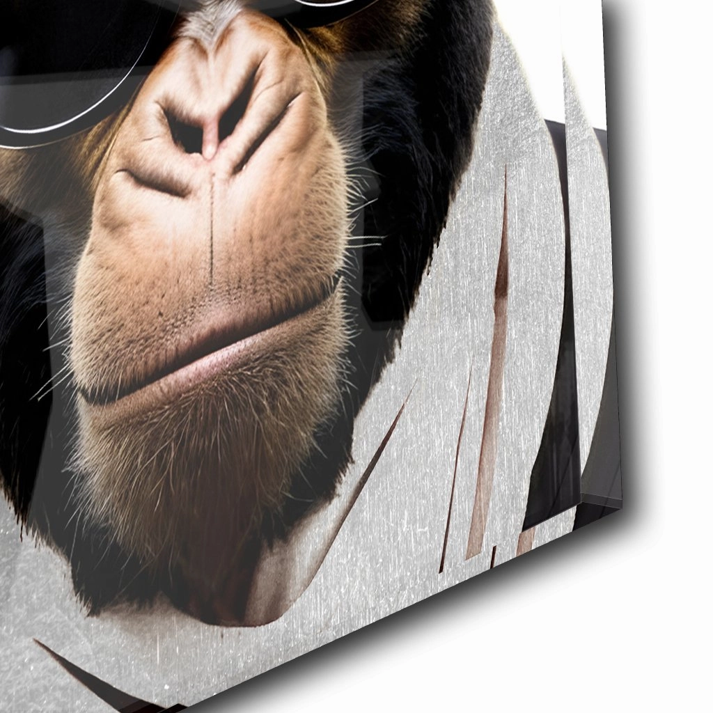 Stylish Monkey - Sunglasses by Adrian Vieriu Silver on Acrylic