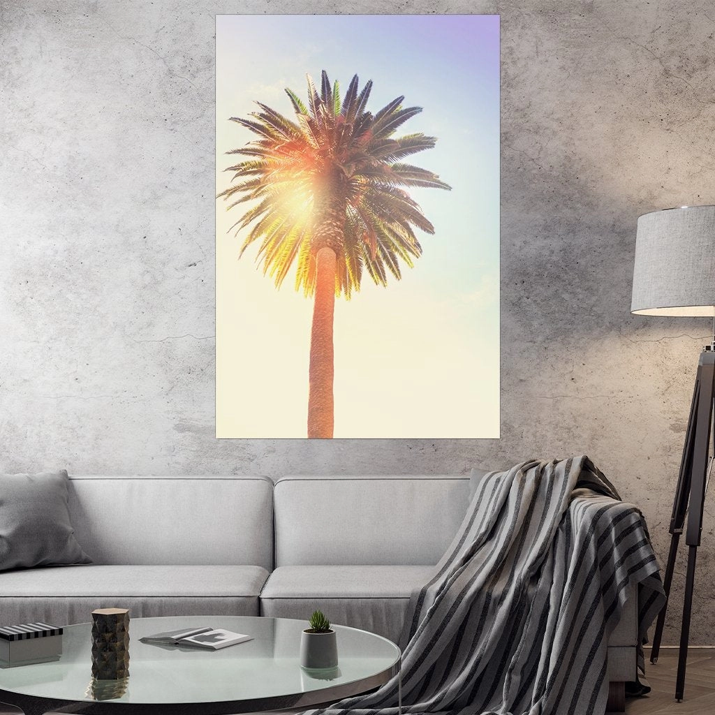Sunny Palm Tree