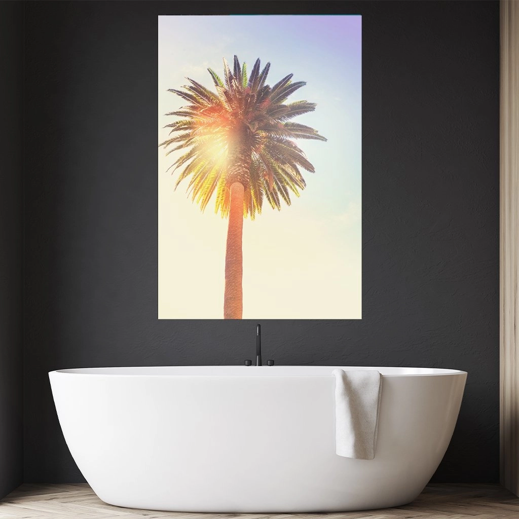 Sunny Palm Tree